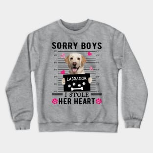 Yellow Labrador Sorry Boys I Stole Her Heart Valentine Crewneck Sweatshirt